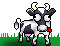 Bluebell13's Avatar