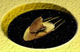 Cosmic's Avatar