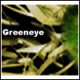 greeneye's Avatar