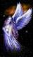 Black_Fox's Avatar