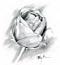 rosey posey's Avatar