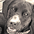 hayles's Avatar