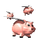 petuniapigsmom's Avatar