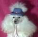 Lil-Lea Diva Myers's Avatar