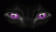 HIGHHAZARD's Avatar