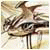Baegwedd's Avatar