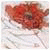 decasinojp's Avatar