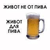 FurlPlalp's Avatar